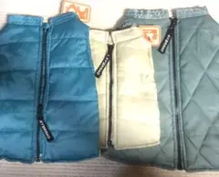 Item thumbnail for item 389f534e-d8cc-44a5-9c65-6cc3d36a7888