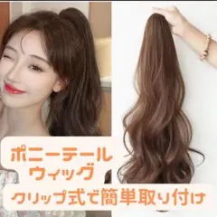 ウィッグ ポニーテール 自然　コスプレ エクステ　クリップ ロング　挟む 簡単