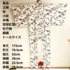 正絹 小紋 縞(未使用品)トールサイズ【身丈177cm】 正絹 小紋 縞(未使用品)トールサイズ【身丈177cm】 小紋