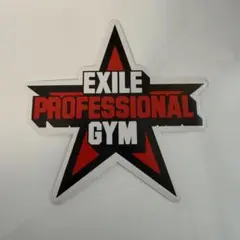EXILE PROFESSIONAL GYM ステッカー　シール
