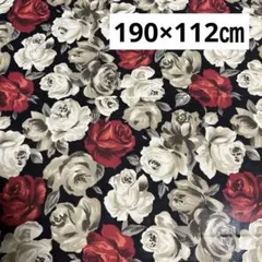 Item thumbnail for item c3fab1c5-b2e3-4a75-8a5e-9bc1bf87f5b1