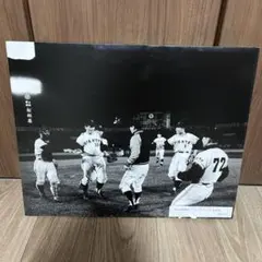m*n様 シーズンシート 100周年限定記念品 甲子園球場ジオラマ模型