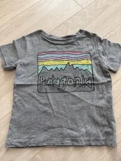 patagoniaキッズTシャツ 2Tサイズのサムネイル
