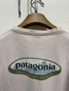 patagonia ロゴ Tシャツ vintage