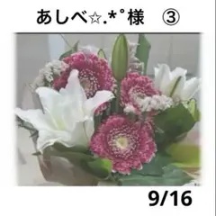 あしべ✩.*˚様　9月おまとめページ③