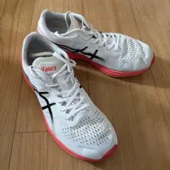アシックス ターサー RP3白メンズ 26.0センチ asics TARTHER