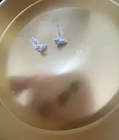 うさぎモチーフ ピアスのサムネイル