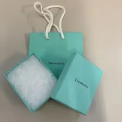 Tiffany & Co. ショッパー袋と箱(クッション付き)セット
