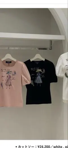 2026年最新】M'S GRACY レディース 半袖(Tシャツ) Tシャツ・カットソー