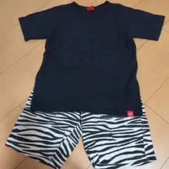 Tシャツ とゼブラ柄 ショートパンツ セット