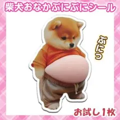 年末セール‼️ 柴犬 お腹 ぷにぷに シール 犬 立体 3D 可愛い