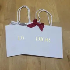 Dior ショップ袋 2点セット