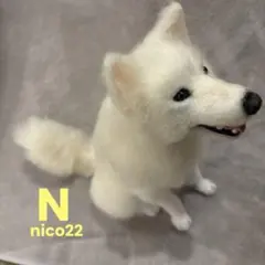 羊毛フェルト ハンドメイド 犬 白 マルチーズ ミックス 置物 - メルカリ