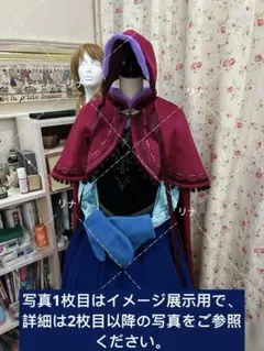 即購入⭕️ アナ雪 雪山アナ ウィッグ ハロウィン 即購入⭕️ アナ雪 雪山アナ ウィッグ ハロウィン 2025年最新