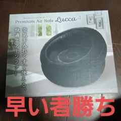 Premium Air Sofa Lucca 4 エアーソファ