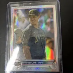 Item thumbnail for item 3bd98d7c-e6b5-47dd-a55a-d28b8326ddc2