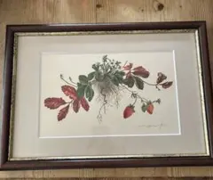 真作】中井亮「ほおずき」油彩画 F3号程度 サイン有 額装済み 静物画