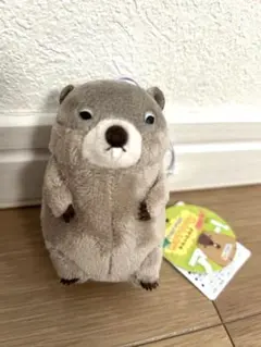 Item thumbnail for item 00ae2faa-48ce-4a84-9a62-e440e0a3bbdf