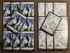 フルアート 荒地 / Wastes 183 184 OGW 日本語 10枚×2種