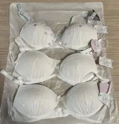 Item thumbnail for item 420001b3-e173-4125-b9a5-2294419b1b98