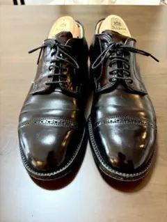 Alden パンチドキャップトゥ シューツリー付き　モディファイド　US7Dのサムネイル