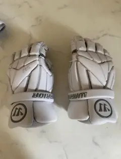 Item thumbnail for item 2fa1de1e-d545-4724-bcd9-101ec5ebd5a8