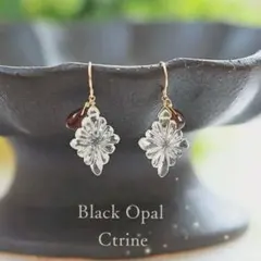 天然石【Ctrine×Black Opal】14kgfピアス　イヤリング