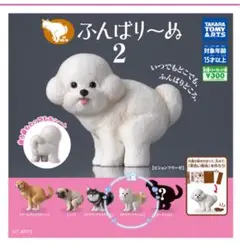 チワワ カプセルトイ