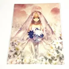 Fate stay night 武内崇　クリアファイル　セイバー　FGO