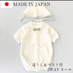 Item thumbnail for item 73503440-629b-485b-903c-9f7aac683f90