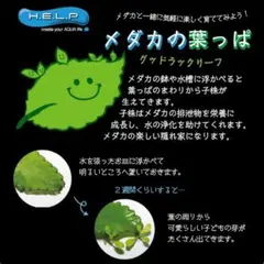 イクメン様 リクエスト 2点 まとめ商品