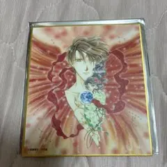 ふしぎ遊戯 原画展 渡瀬悠宇の世界 ミニ色紙「朱雀 井宿（ちちり