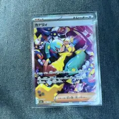 カナリィ トレーナーズカードSAR