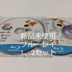 Item thumbnail for item 1a02cd54-e867-4d55-990c-812cc43d9e4b