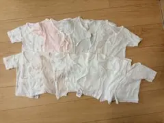 Item thumbnail for item 1001e693-ff61-43fb-8086-90b7fc38d05c