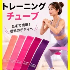 トレーニングチューブ ゴムバンド エクサイズ 強度別付 5本セット ダイエット