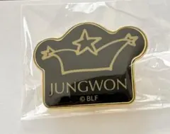 enhypen museum ミュージアム ジョンウォン ピンズ ピンバッジ