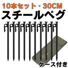 スチールペグ 鍛造 キャンプ テント 30cm 10本セット ケース付き タープのサムネイル