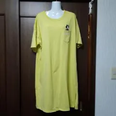 Item thumbnail for item 5733a5fb-34d1-465f-ab8c-e751f577e933