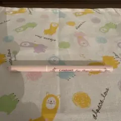 CANMAKE アイバッグコンシーラー 02