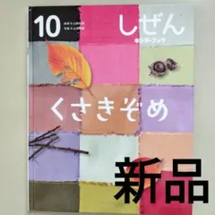 お値下げ中☆10枚セット☆【入手困難・非売品】草間彌生 大判ポスト