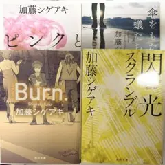 加藤シゲアキ 小説 閃光 ピンクとグレー Burn. 傘をもたない蟻たちは