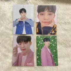 SEVENTEEN 2019 JAPAN TOUR HARU エスクプス