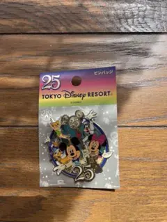 ディズニー 25周年 ピンバッジ ミッキー ミニー 未使用