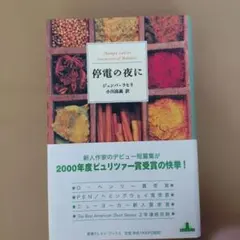 停電の夜に
