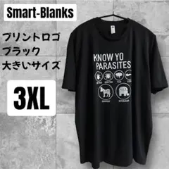 真*様 アメリカ古着 Smart Blanks ブラック 半袖Tシャツ カットソ