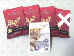 Item thumbnail for item 63649239-ec7c-40e1-9e09-6c6ed52938fb