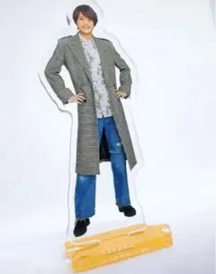 中間淳太 アクリルスタンド rainbow ミニーズwest