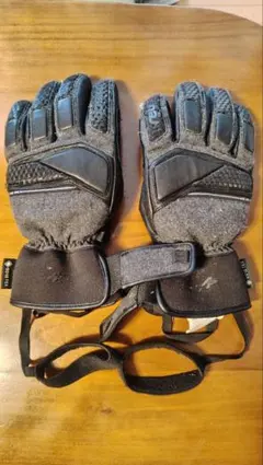 Reusch スキーグローブ Alexis Pinturault