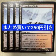 【まとめ買いで250円引き】《トレッサーホーンの掃き溜め》[CSP] 4枚